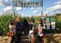 Wistow Maze